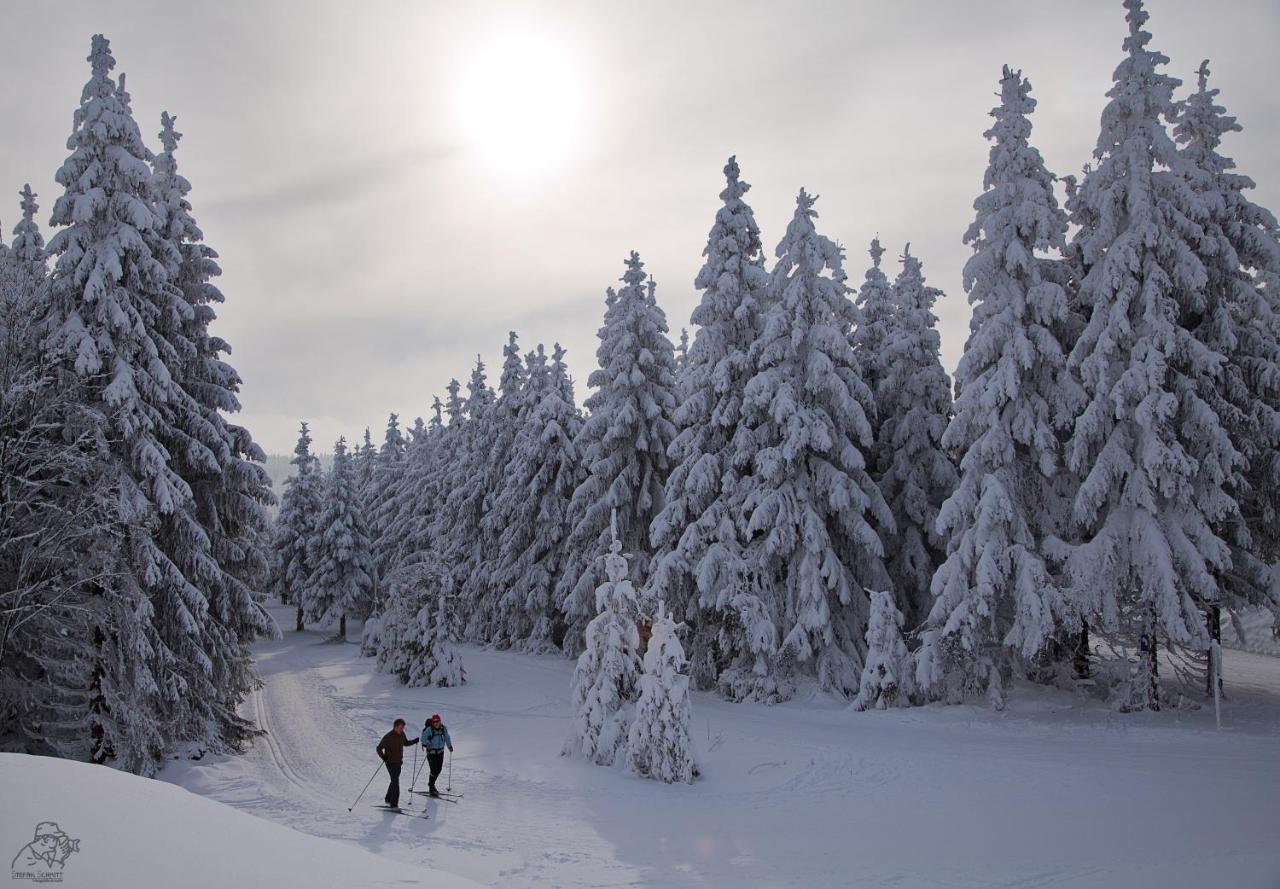 Gipfelstürmer Winterberg Dış mekan fotoğraf